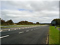 A303, Willoughby Hedge