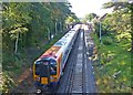 Train passing through Sway Station