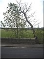 Eastern parapet of Meadow Bridge, Huntly