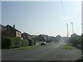 Argie Avenue - viewed from Eden Mount