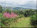 View towards Machen from Rudry Common