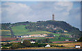 J4772 : Scrabo Tower from Castle Espie by Rossographer