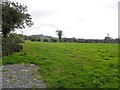 Tullynacree Townland