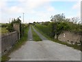 J4355 : Lane, Clontaghnaglar by Kenneth  Allen