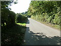 Driveway to Knepp Castle