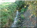 Just a trickle on the western arm of the River Adur