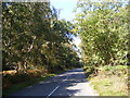 Heath Road, Hollesley Heath