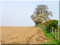 Arable land near Carsie