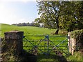 Tullygarvan Townland