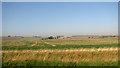 Cultivated fields south of Utterby