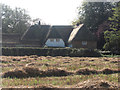 Thatch on a cottage and in the field