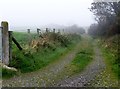 Field access lane off the Corbally Road