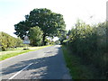 Speed signs on Swallows Lane Dial Post