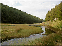 NN9911 : Pond at Gap Moss near Simpleside Hill by William Starkey