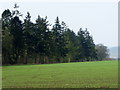 Arable field near Lethendy