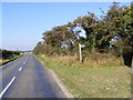 TM3343 : B1083 Woodbridge Road & the Bridleway to Lodge Road by Geographer