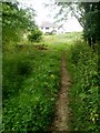 Forest Way Public Footpath