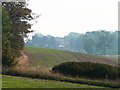 Greening field east of Hollins Farm