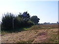 Bridleway to Sutton Hall