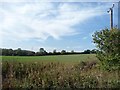 Farmland south of Hazel Lane