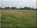 Farmland off Fryston Common Lane