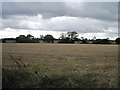 Harvested  field  to  Cockret  Dike