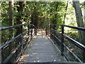 Footbridge at Bishopstone Glen