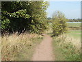 Bridleway beside Well Wood