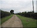 Farm  Road  towards  Tadcaster