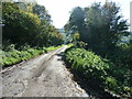 Single track lane to car park on the South Downs Way