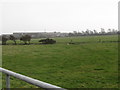 Industrial units on the Downpatrick Road