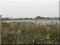 The north reservoir at Ballygilbert