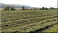 Farmland beside the Forth