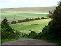 Track, north of Saltdean