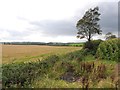 Ballygallum Townland