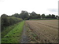 Footpath  into  Little  Ouseburn