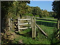 Henley Park footpath