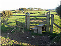 Stile near Ty Newydd