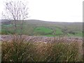 H6089 : View from Glenlark Forest by Kenneth  Allen