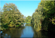 TQ0586 : River Colne in Denham Country Park by Des Blenkinsopp