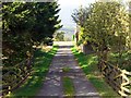 Bridleway near East Farm, High Mickley