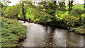 The River Lagan, Coolsallagh near Dromore (1)