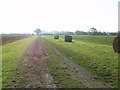 Early morning at Harvest time