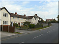 Housing on Fern Hill