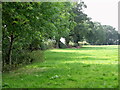 Pasture off Batemill Lane, Jodrell Bank