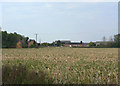 Home Farm, Colston Bassett