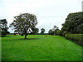 Pasture with footpath