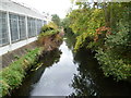 River Wandle