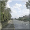 Poplar Grove - viewed from Haycliffe Avenue