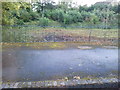 Disused platform at Crewkerne station